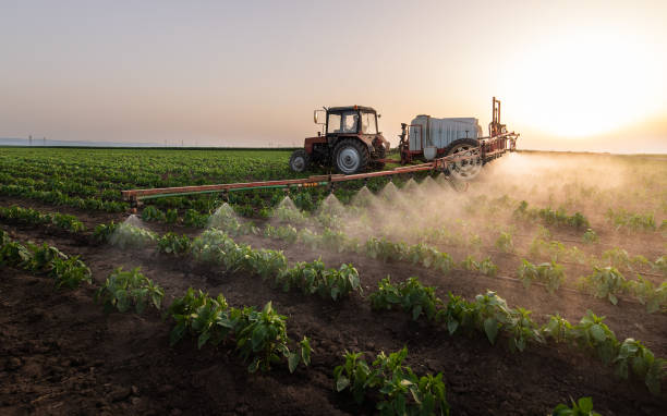 Best Commercial Pest Control Services  in Dooms, VA