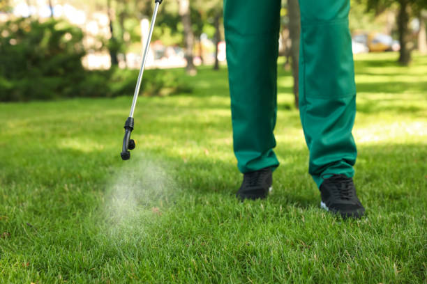 Best Residential Pest Control  in Dooms, VA