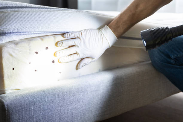 Best Wildlife Control Services  in Dooms, VA