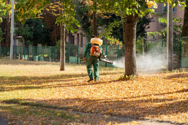 Best Best Pest Control Companies  in Dooms, VA