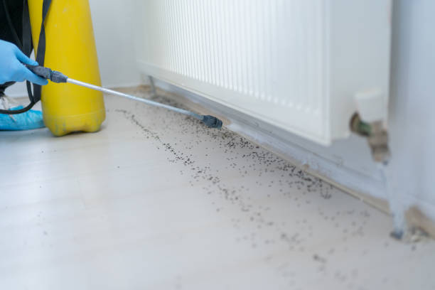 Best Rat Extermination Near Me  in Dooms, VA