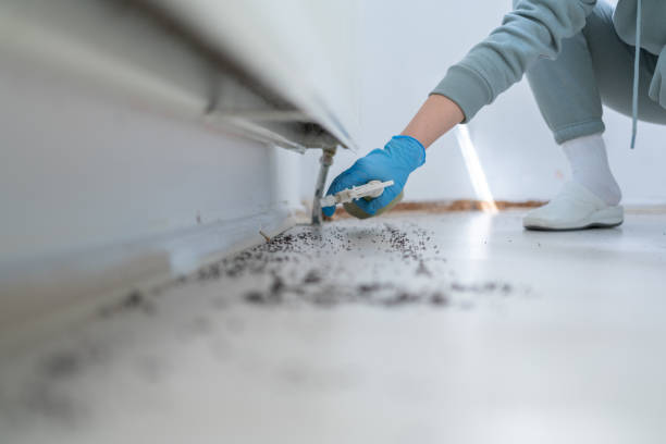 Reliable Dooms, VA Pest Control Solutions